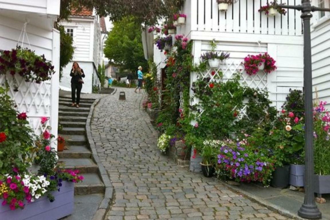 Historical Apartments In The Heart Of The Old Town Stavanger Kültér fotó